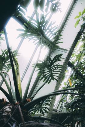 Travel Paris Paris, 18 05 23 greenhouses in the jardin des plantes, Paris is one of the most beautiful and romantic cities in the world,