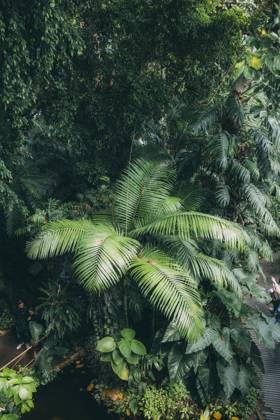 Travel Paris Paris, 18 05 23 greenhouses in the jardin des plantes, Paris is one of the most beautiful and romantic cities in the world,