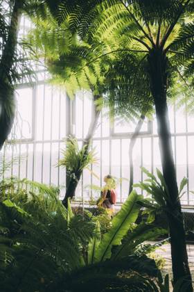 Travel Paris Paris, 18 05 23 greenhouses in the jardin des plantes, Paris is one of the most beautiful and romantic cities in the world,