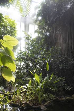 Travel Paris Paris, 18 05 23 greenhouses in the jardin des plantes, Paris is one of the most beautiful and romantic cities in the world,