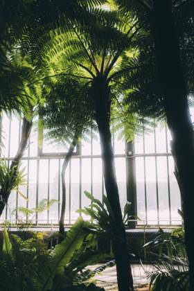 Travel Paris Paris, 18 05 23 greenhouses in the jardin des plantes, Paris is one of the most beautiful and romantic cities in the world,