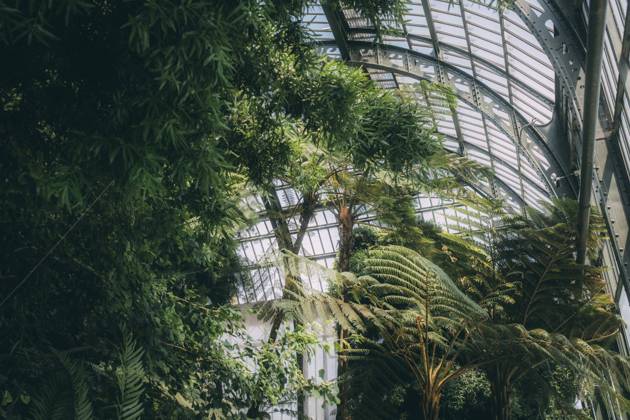 Travel Paris Paris, 18 05 23 greenhouses in the jardin des plantes, Paris is one of the most beautiful and romantic cities in the world,