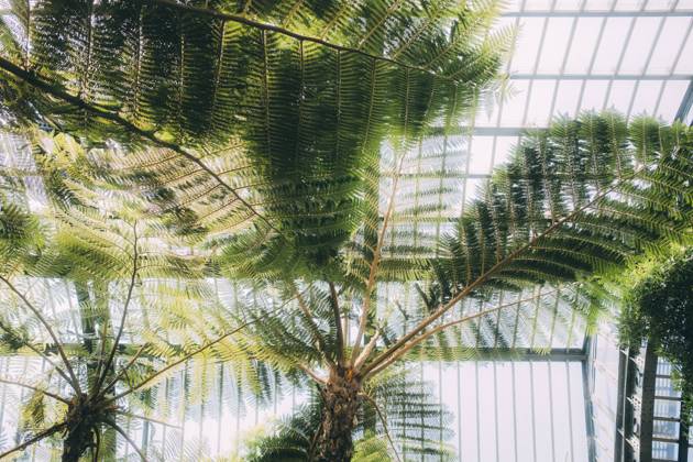 Travel Paris Paris, 18 05 23 greenhouses in the jardin des plantes, Paris is one of the most beautiful and romantic cities in the world,