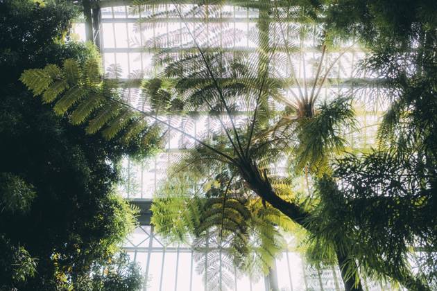 Travel Paris Paris, 18 05 23 greenhouses in the jardin des plantes, Paris is one of the most beautiful and romantic cities in the world,