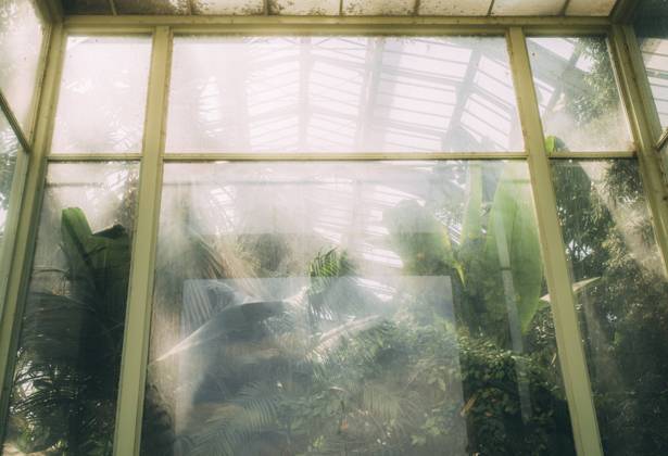 Travel Paris Paris, 18 05 23 greenhouses in the jardin des plantes, Paris is one of the most beautiful and romantic cities in the world,
