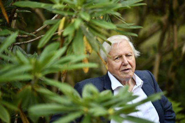 GOTHENBURG 2018 09 06 Sir David Attenborough is seen at the Botanical gardens in Gothenburg, Sweden on Thursday Sir Attenborough is in Sweden to accept an award during the annual The Perfect World Foundations dinner Foto Björn Larsson Rosvall TT kod 9200 GÖTEBORG Sweden x9200x  Copyright: xBjörnxLarssonxRosvallx xTTx DAVID ATTENBOROGH IN SWEDEN