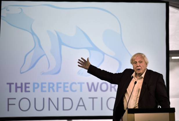 GÖTEBORG 2018 09 06 Sir David Attenborough will give a lecture at the Botanical Garden in Gothenburg where he also planted a magnolia from China Tonight he will receive an honorary award at The Perfect World Foundations annual gala for nature and wildlife Photo Björn Larsson Rosvall TT code 9200 GÖTEBORG Sweden x9200x  Copyright: xBjörnxLarssonxRosvallx xTTx DAVID ATTENBOROGH