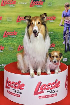 erlin premiere LASSIE dog Lassie, and Pippa arrival, red carpet to Berlin premiere LASSIE a new adventure 09 07 2023 Photopress Mueller