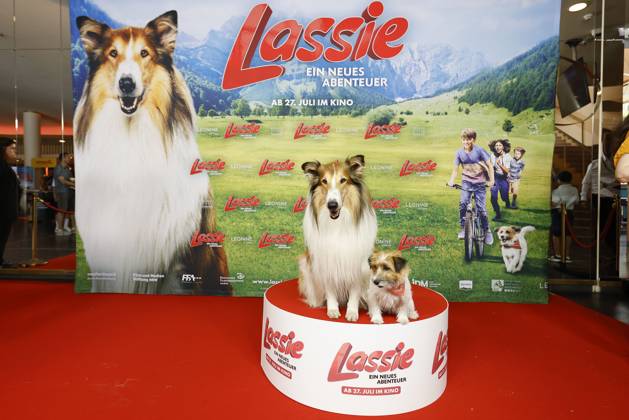 The two movie dogs Lassie and Jack Russell Terrier Pippa at the Lassie A New Adventure movie premiere on 9 06 2023 in Berlin Lassie movie premiere in Berlin