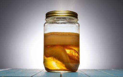 A glass jar containing a kombucha scoby, also known as a kombucha mother or kombucha mushroom *** einer Glas jar enthaltend einer kombucha scoby, auch bekannt als einer kombucha Mutter Oder kombucha Champignon 19925607 RECORD DATE NOT STATED