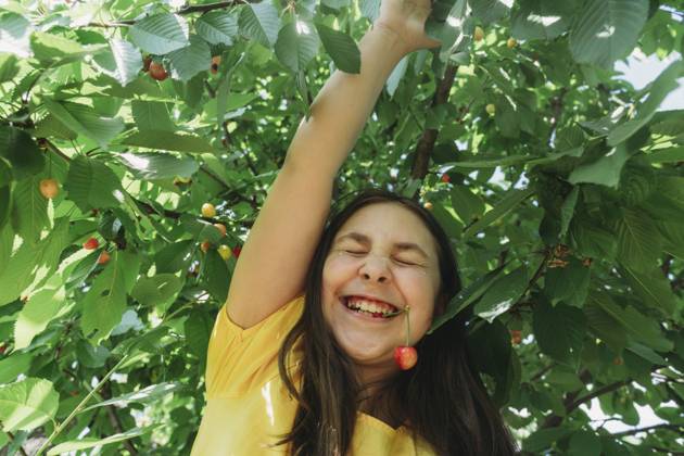 Smiling girl in yellow t-shirt biting cherry in garden model released, Symbolfoto, OSF01720