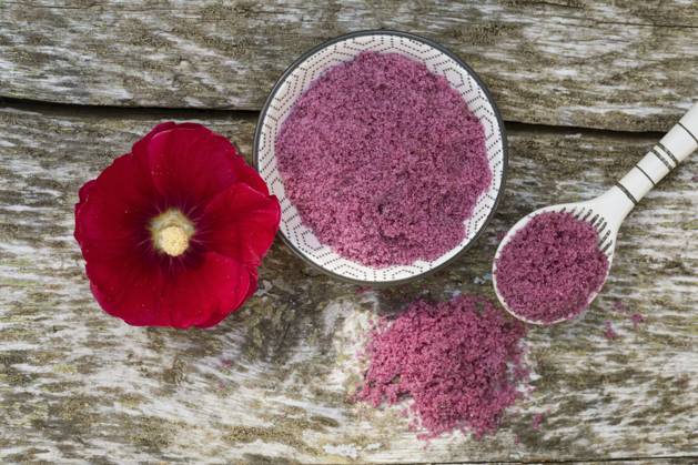 Hollyhock, Stock Rose, Stock mallow, Stock Mallow, Neck rose, Neck Rose, Brand Rose, Brand Rose Alcea rosea, althaea Rosea , Hollyhocks Salt, Flower salt from edible Flowers hollyhock Alcea rosea, althaea Rosea , selfmade hollyhock Salt BLWS693877 Copyright: xblickwinkel F.xHeckerx