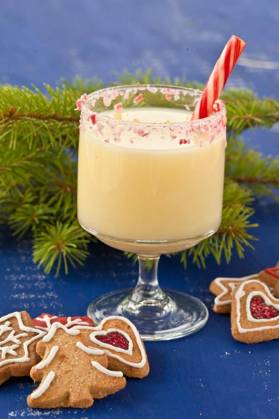  Egg liquor with candy cane, Egg liquor with candy cane and places for Christmas, Egg liquor with candy cane and places for Christmas, 16.12.2013, Copyright: xscerpicax Panthermedia10517139.jpg