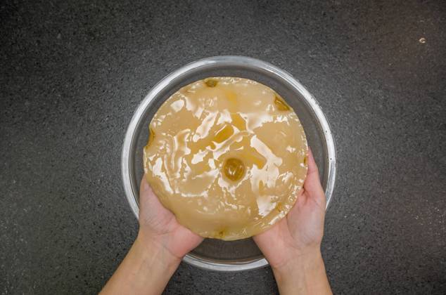 Hand holding kombucha scoby tea mushroom against stone background with bowl Hand holding kombucha scoby tea mushroom against stone background with bowl Copyright: xZoonar.com ThiagoxxSantosx 15912471