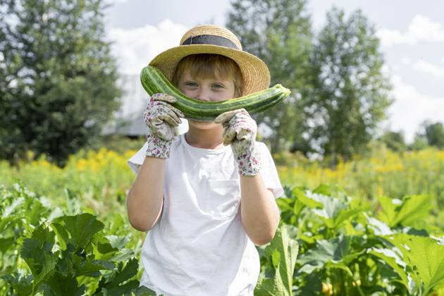 Boy wearing hat holding zucchini in garden model released, Symbolfoto, VBUF00360