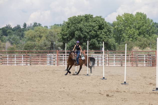 IMAGO Creative, Jahreszeit Sommer, Sommerferien Teenager girl running her horse around poles in arena Longmont, Colorado, United States R_SABO230907-1244623-01 ,model released, Symbolfoto