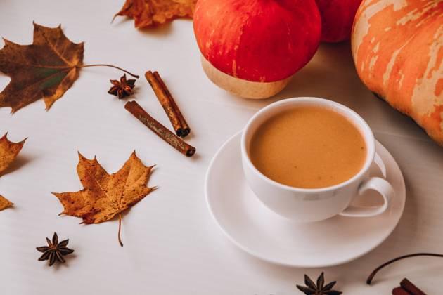 Pumpkin smoothie, spice latte. Boozy cocktail with cinnamon sticks anise stars. Maple leaves decorations. Autumn seasonal hot drinks. Thanksgiving day , 38537592.jpg, coffee, drink, latte, pumpkin, autumn, spice, aroma, morning, maple, holiday, orange, mug, hot, rustic, background, food, cup, cinnamon, breakfast, natural, halloween, fresh, thanksgiving, cappuccino, sweet, warm, leaves, fall, cream, cozy, dessert, beverage, concept, smoothie, composition, winter, cinnamon sticks, ingredient, seasonal, delicious, healthy, organic, hygge, star anise, pumpkin latte, fall leaves, dried leaves, maple leaf, pumpkin smoothie RECORD DATE NOT STATED