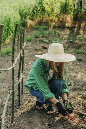 Woman with sun hat planting in garden model released, Symbolfoto, VSNF01127