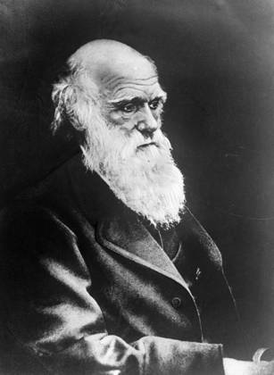 Charles Darwin 529614 01.05.1957 Charles Darwin, British scientist, author of the evolution theory of animals and plants via natural selection. Reproduction. RIA Novosti Sputnik Moscow Russia  Copyright: xRIAxNovostix