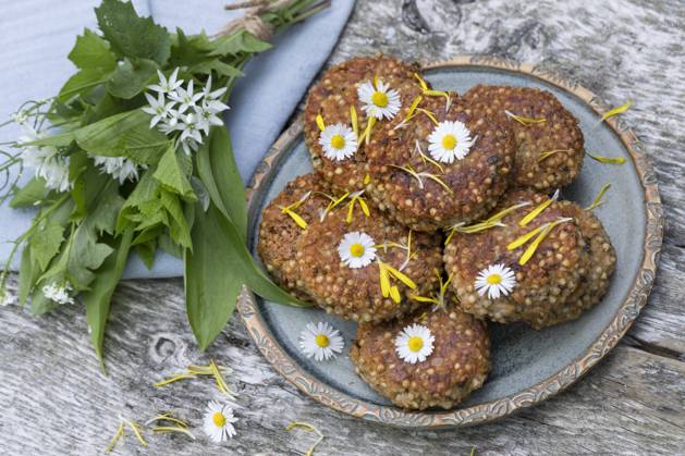 Homemade Herb patties with Baerlauch at a Plate, decorated with Goosebumps selfmade Herb PATTIES With Wild garlic ON a plate, decorated With daisies BLWS698282 Copyright: xblickwinkel F.xHeckerx
