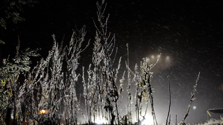 Jetzt schlägt der Winter eiskalt zu. Die Großwetterlage stellte sich seit den Dienstagnachmittag grundlegend um. Mit einer nordwestlichen Strömung werden feucht-kalte Luftmassen nach Deutschland geführt. Dies führt zu Schneefällen in den Mittelgebirgen. Oberhalb von 600 Höhenmetern herrschte seit den Abendstunden Dauerfrost. Eisregen, Schnee und Blitzeis gab es auf dem Fichtelberg. Der Regen gefror bei -2 ¡C. Da wurde der Abendspaziergang über dem Fichtelberg zur Rutschpartie. Ein dicker Eispanzer legte sich über den Fahrzeugen. Ein Autofahrer musste mühevoll kratzen. Nur Mithilfe der Fahrzeugwärme taute sein Fahrzeug so langsam auf. Neben Eisregen gab es einen böigen Nordwind. Verwehungen gab es auf dem Plateau. Touristen waren am Abend di