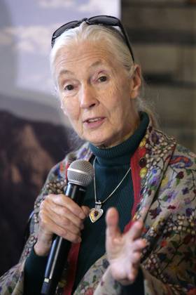 IMAGO ICONS: Jane Goodall E27041604.JPG CIUDAD DE MÉXICO Ecology Ecoogía-Jane Goodall.- La primatóloga y conservacionista británica, Jane Goodall, en conferencia de prensa, el miércoles 27 de mayo de 2016. Foto: Agencia LE UNIVERSAL Iván Stephens JMA EDITORIAL USE ONLY  Copyright: xx x universalpix348259