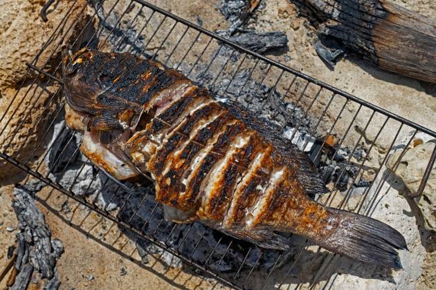 Fresh fish Fish, grilled at a simple Grill on Beach of Fishing villages Andavadoaka at Morombe, Region Atsimo Andrefana, Madagascar, Africa Copyright: imageBROKER/alimdix/xArterrax/xMaricaxvanxderxMeer ibltsm09922579.jpg