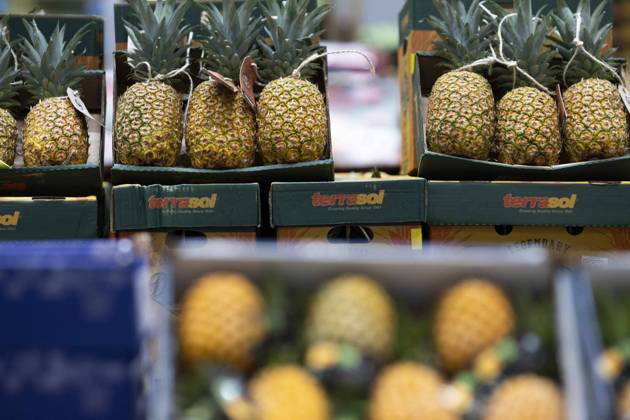 Rungis International Market - Southern Paris This photograph shows pineapple at the fruits and vegetables of the Rungis International Market, in Rungis southern suburb of Paris on December 6, 2023. The Rungis International Market (Marche International de Rungis) is the principal market of Paris, mainly for food and horticultural products, located in the commune of Rungis, in the southern suburbs. It is the second largest wholesale food market in the world after Central de Abasto, located in Mexico city. From its origins in the 10th century to the mid-20th century, the central market of Paris was located in the centre of the city, in a 10-hectare area named Les Halles. That became too small to accommodate all of the business demand, and, in  Copyright: xBlondetxEliot ABACAx