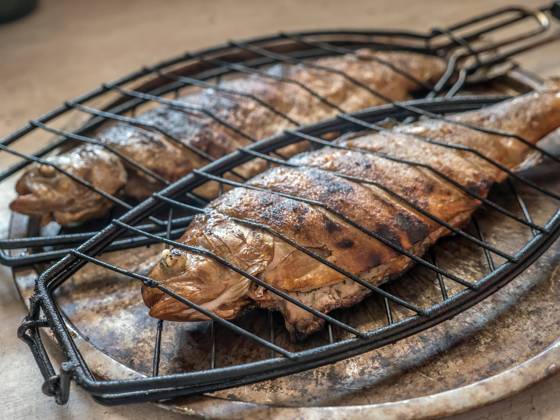 Two grilled trout fish Two grilled whole trout fish ready for serving Copyright: xZoonar.com RomanxMilertx 20714567