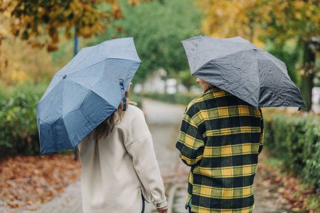 Mother and daughter holding umbrellas and walking in autumn park model released, Symbolfoto, VSNF01472
