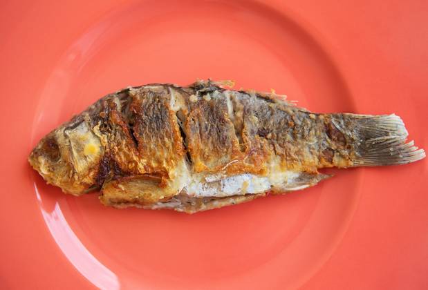 IMAGO Creative, Food, Karpfen-Saison A whole fried carp with a fried crust, served on a bright red plate. View from above. A whole fried carp with a fried crust, served on a bright red plate. View from above Copyright: xZoonar.com SergiyxArtsabax 19377412