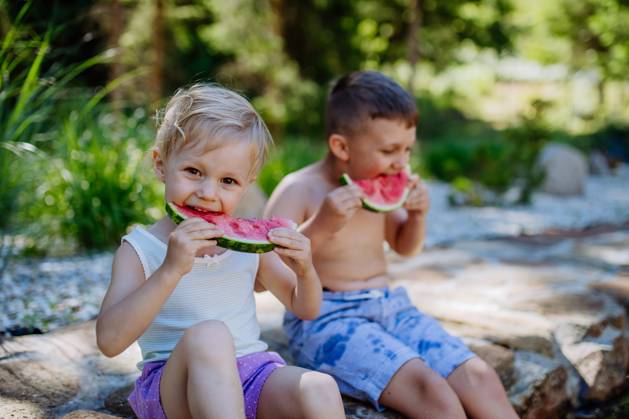 Little chidren sitting near lake and eating watermelon on hot sunny day during summer vacation. Little chidren sitting near a lake and eating watermelon on hot sunny day during summer vacation. model released Copyright: xx HHH SOLO TZ KYSUCE DOVOLENKA 2022 HHH 464