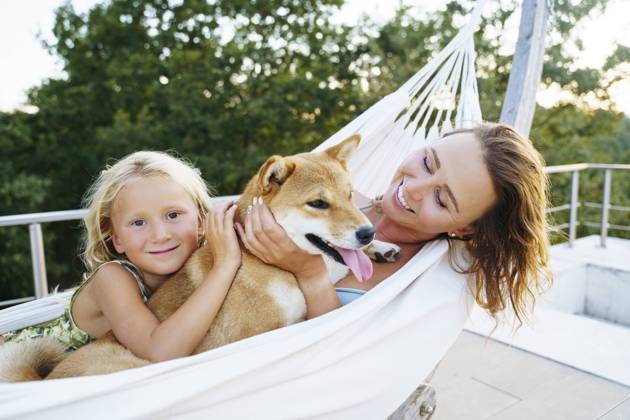 Smiling mother and daughter petting Shiba Inu dog in hammock model released, Symbolfoto property released, NJAF00702