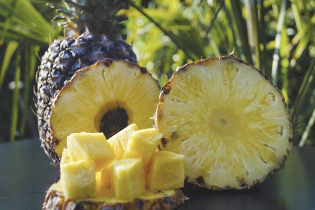 Pineapple Pineapple comosus, Pineapple sativus , Whole Fruit, Pineapple slices and Ananasstuecke at a Table, Fresh fruit Pineapple Pineapple comosus, Pineapple sativus , Whole fruit, Pineapple slices and Pineapple chunks ON a table, Fresh Fruits BLWS702145 Copyright: xblickwinkel Steidix