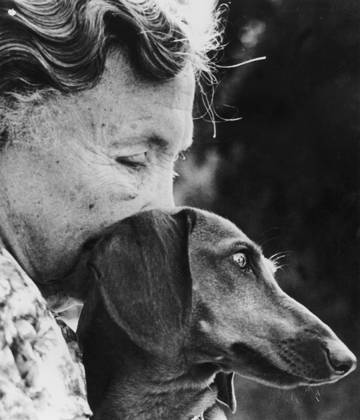 Helen Keller (1880-1968) Born Blind Deaf Mute, Thanks To her Governess She Overcame This Handicaps, Studied and Created in 1921 The American Foundation For The Blind, here C. 1955 With her Dog (b w photo) 1654128 Helen Keller (1880-1968) Born Blind Deaf Mute, Thanks To her Governess She Overcame This Handicaps, Studied and Created in 1921 The American Foundation For The Blind, here C. 1955 With her Dog (b w photo); (add.info.: Helen Keller (1880-1968) born blind deaf mute, thanks to her governess she overcame this handicaps, studied and created in 1921 the american foundation for the blind, here c. 1955 with her dog). Copyright: xBridgemanxImagesx 1654128