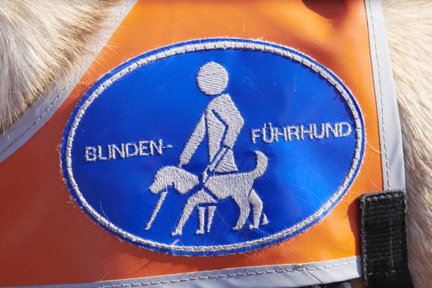 Running guide training for visually impaired and Blind People in Mülheim to the Ruhr become for the first time Running guides for visually impaired and Blind People offered Mülheim to the Ruhr D