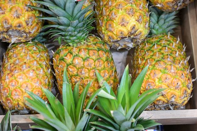 Berlin, Germany 07 09 February 2024 Fruit Logistica 2024 In the picture box with pineapple Copyright: xFotostandx xReuhlx