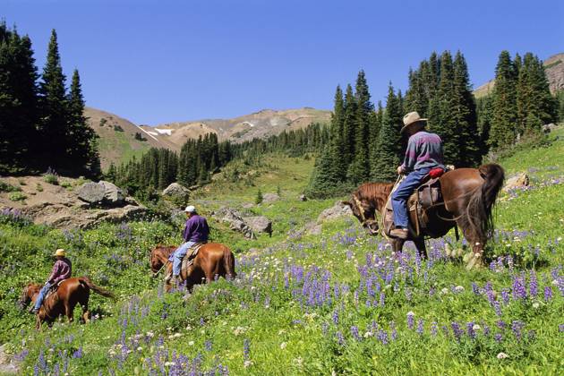 South Chilcotin Range, Cinnabar Basin, Outfitter leading trail ride  Copyright: x AllCanadaPhotos.comx 1990-25494 ,model released, Symbolfoto
