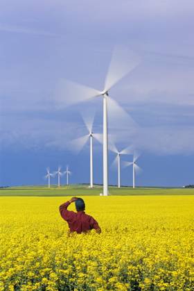 a farmer views moving wind turbines from a blooming canola field, St. Leon, Manitoba, Canada MR_DaveReede  Copyright: x AllCanadaPhotos.comx 1990-54859 ,model released, Symbolfoto