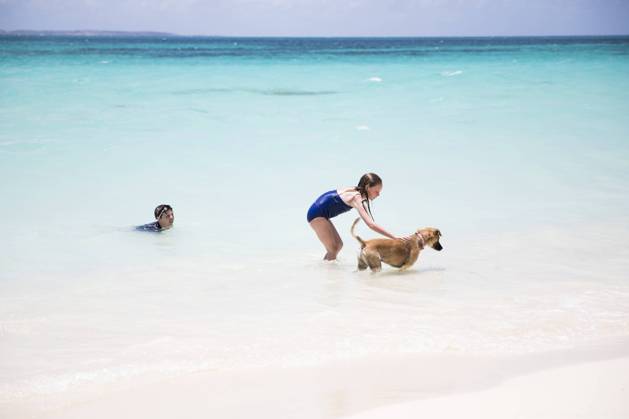 Young Girl Plays With Dog While Swimming in Caribbean Ocean Blowing Point Village, Anguilla CR_EMJA240225-109046-01 ,model released, Symbolfoto