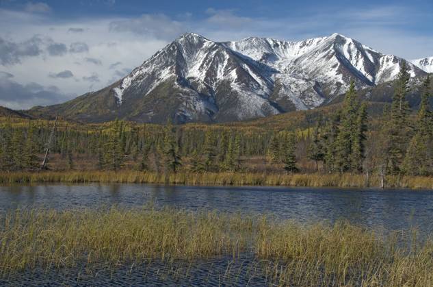 St. Elias Range, near Snag, Yukon Territory along the Alaska Highway, Canada. September. Copyright: x xAllxCanadaxPhotosx 1990-12355613