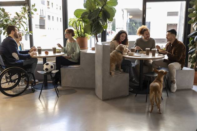 Business colleagues on lunch break with dogs at office model released, Symbolfoto property released, JCCMF11310