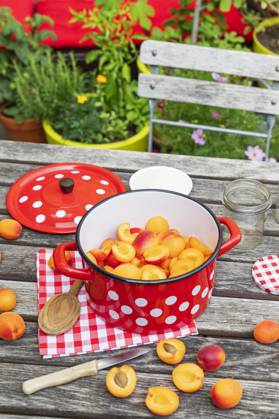 IMAGO Creative, Jahreszeit Sommer, Food, Marmelade kochen Preparation of apricot jam on wooden garden table, GWF07996