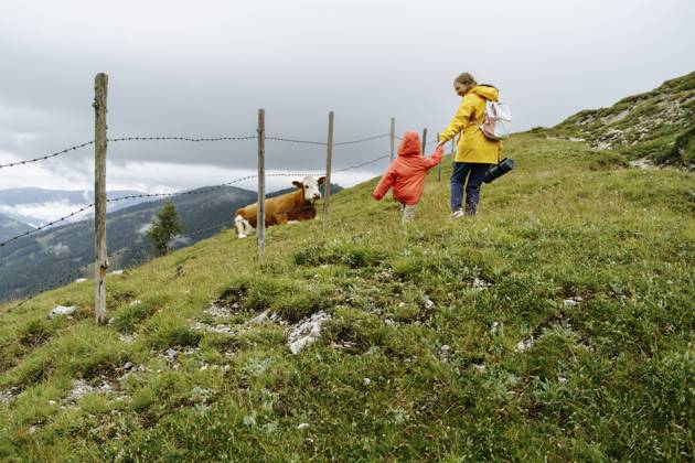 Mother and daughter walking by fence and cow on mountain model released, Symbolfoto, NSTF00035