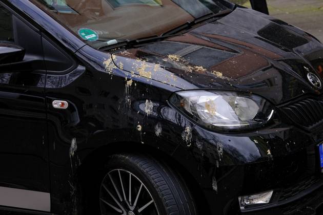 Düsseldorf 02 04 2024 pigeon droppings bird droppings bird poop bird poop pigeon poop tree parker parking under tree car paint paint car car car wash car wash cleaning paint damage car insurance car insurance fully comprehensive partially comprehensive paint damage Düsseldorf North Rhine Westphalia Germany
