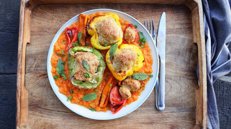mittagessen,gefüllte paprika,mahlzeit,mahlzeiten,gefüllte paprikas,gefüllter paprika ** lunch,stuffed peppers,lunch time 4pk-gf0