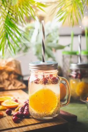 orange,sommergetränk,zitrone,chiasamen,homonym,getränk,getränke,zitronen,chia ** orange,summer drink,lemon,chia seeds,oranges,summer drinks,lemons 61z-fiv