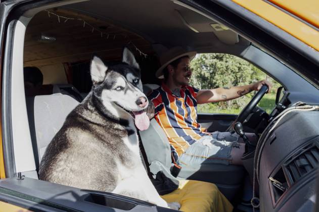 junger mann,sommer,hund,verreisen,campingbus,mann,sommerlich,hunde,reise,reisen,bus,camping,fahrzeug ** young man,summer,dog,travel,campervan,guy,man,men,young,summers,dogs,travels,campervans,caravan,caravans,mobile home,motor home,motorhome,motorhomes 539-lhk ,model released, Symbolfoto