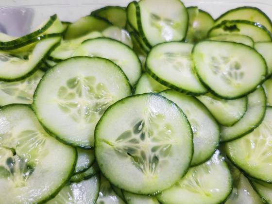 Cucumber, Cucumber, Snake cucumber Cucumis sativus , Cucumber slices, Cucumber salad Cucumber Cucumis sativus , Cucumber slices, Cucumber Salad BLWS707103 Copyright: xblickwinkel Steidix