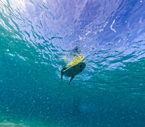 From below underwater perspective capturing a surfer paddling out to the waves in the clear blue waters off the coast of Fuerteventura. Model Released JuanAizpuru_ID20180_597216_013 Copyright: xJuanxAizpurux